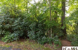 231R Pine Forest Court lot: 231-R, Sapphire, NC 28774