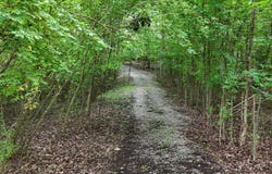 5671 Willow Point Lane, Harrison, TN 37341