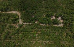 CR 235, NEWBERRY, FL 32669