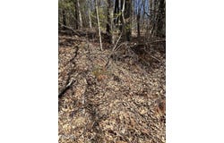 400 Woodchuck Way, Laurel Bloomery, TN 37680