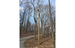 92 Misty Dawn Cove unit: 5A, Hendersonville, NC 28792
