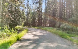 238 RUSTIC RD, CUSICK, WA 99119