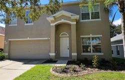1147 EMERALD HILL Way, VALRICO, FL 33594