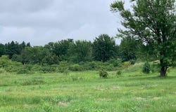 8211 Alexander Street, Schererville, IN 46375