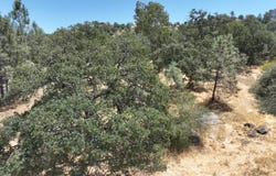 1806 Sentinel Drive, Coarsegold, CA 93614