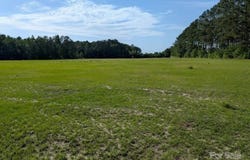 2128 N Fifth Street, Hartsville, SC 29550