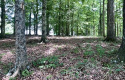 Lot 15 The Village at Laurelwood, Nancy, KY 42544