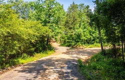 Tract 3 Harmony Mountain Road, Clinton, AR 72031