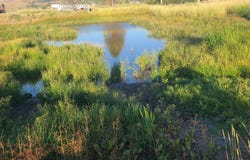 70775 MIDDLE RD, Elgin, OR 97827