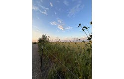 Tomasini Court, Moriarty, NM 87035