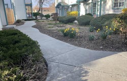 1012 E Fifth Street unit: Apt 1, Carson City, NV 89701