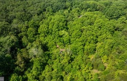 11326 ROGUES ROAD, MIDLAND, VA 22728
