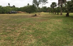 Palm Dr lot: 14, Bayview, TX 78566