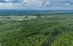 0 Off Dogwood, Waynesville, GA 31566