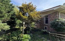 1 Woodmont Dr, Belmont, MS 38827