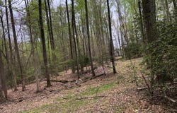 9045 GENEVIEVE Drive, WHITE PLAINS, MD 20695