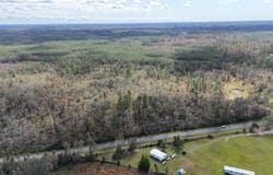 Vacant SW Moseley Hall Road, Greenville, FL 32331