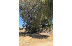 0 Herbert Ave, Lake Elsinore, CA 92530