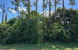 8042 WINDSWEPT CIRCLE, LABELLE, FL 33935