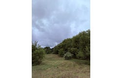 0 Bunkerhill Road, Munith, MI 49259