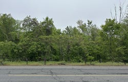 66 Union City Road, Prospect, CT 06712
