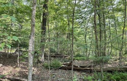 St Moritz Ct 3F, Henryville, PA 18332
