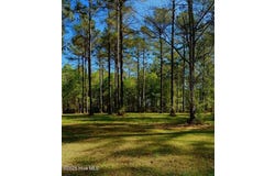 212 Dawson Creek Boulevard lot: 87, Arapahoe, NC 28510