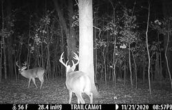 000 FS 1548, Pettigrew, AR 72752