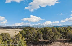 3376 Elk Springs Drive, Glenwood Springs, CO 81601