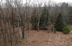 10 Mountain Rd, Mt Washington, MA 01258