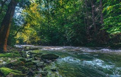 12970 State Route 56, Altamont, TN 37301