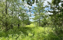 STATE HWY 55, WHITE LAKE, WI 54491