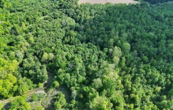 Sheffield Drive, Centertown, KY 42328