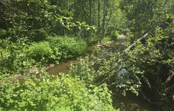 37XX RED MARBLE RD, VALLEY, WA 99181