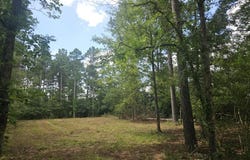 220 CR 2736, Alto, TX 75925