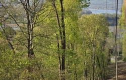Tr-4 BOATMANS MOUNTAIN-25.54ac, Morristown, TN 37814