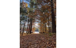 N12655 HEMLOCK SHORES CT, Athelstane, WI 54104