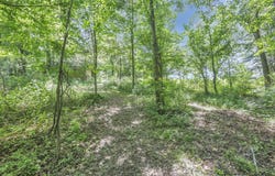 US Hwy 50, Albany, OH 45710