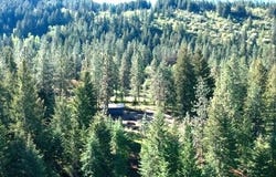 1599 COYOTE WAY, EVANS, WA 99126