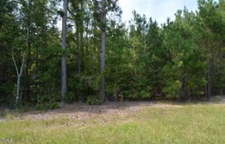 42 Asbury Church Road, Sanford, NC 27330