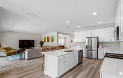 14868 SUMMER BRANCH Drive, LITHIA, FL 33547