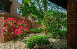 910 Ridge Road, Munster, IN 46321