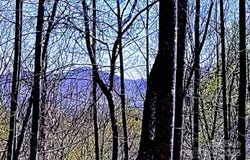 153 Westridge Drive, Bostic, NC 28018