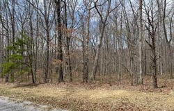Poston Drive, Monterey, TN 38574