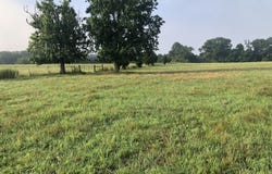 0 Thomas Road, Milner, GA 30257