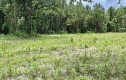 55 Seabrook Center Road, Seabrook, SC 29940