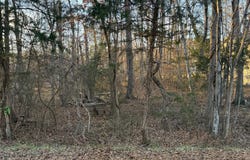 119 REPUBLIC Avenue, LOCUST GROVE, VA 22508