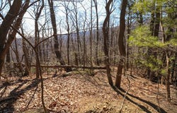 Lot 75 Black Gum Trail, Fancy Gap, VA 24328
