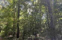 776 John Ashley, Amity, AR 71921