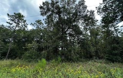 NE 155TH Court, WILLISTON, FL 32696